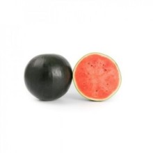 Арбуз Конгуита F1 - ООО «Семена Тут»