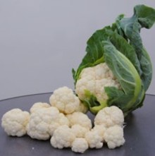 Капуста цветная Октопус F1 - ООО «Семена Тут»