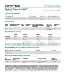 img-2: Маттиола Матильда Лаванда [1000 шт] - ООО «Семена Тут»