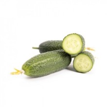 Огурец Промисса F1 - ООО «Семена Тут»