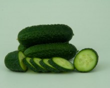 img-1: Огурец Стартап+ F1 - ООО «Семена Тут»