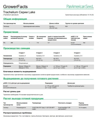 img-2: Трахелиум Лейк Мичиган Блю [1000 драже] - ООО «Семена Тут»