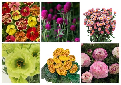 Новое поступление в сентябре